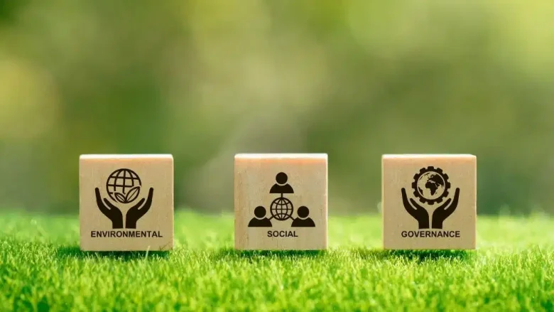 sustainability reporting.jpg